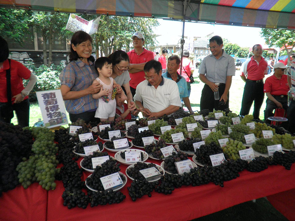 二林鎮農會推廣葡萄產業 35種葡萄創造產銷通路