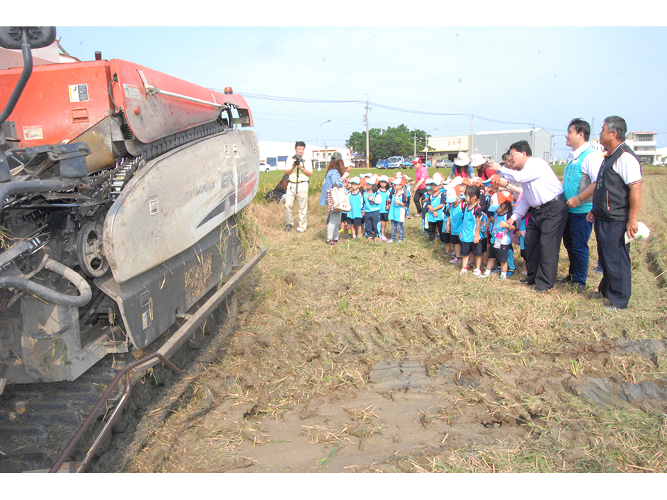 彰化市立幼兒園學童體驗耕作 吸取農業常識學會珍惜