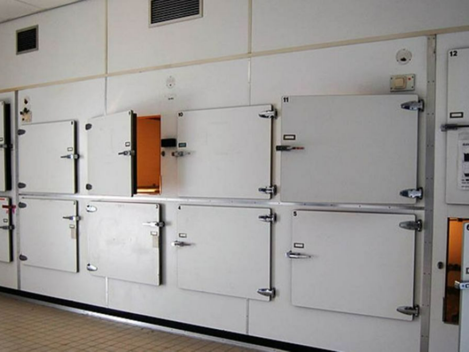 冰櫃塞滿遺體 香港緊急改裝貨櫃