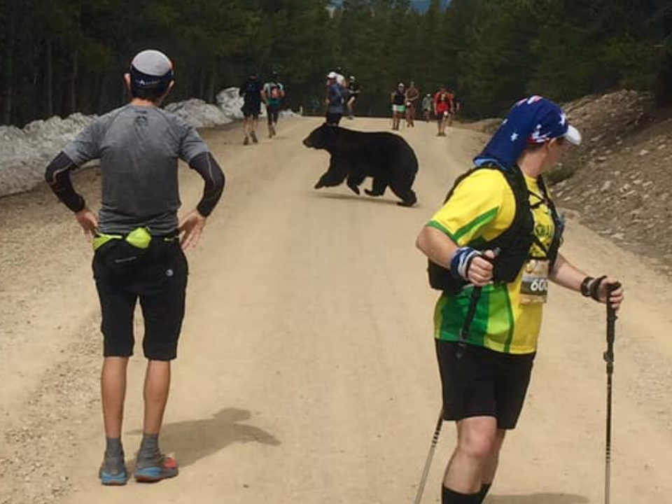 黑熊亂入馬拉松！跑者笑稱「熊會吃掉這比賽中最慢的跑者」