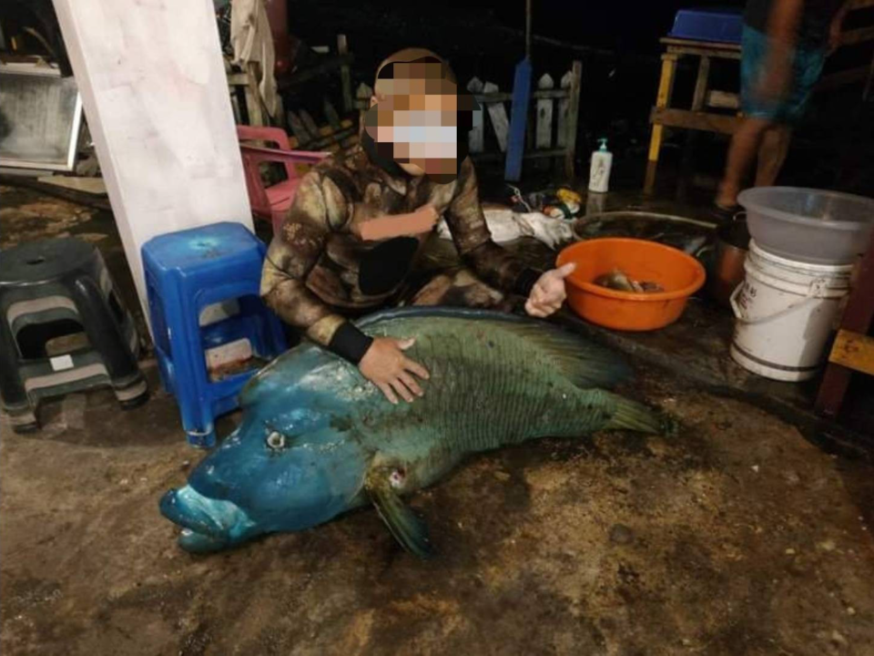 極珍貴保育「龍王鯛」獵殺合照遭撻伐