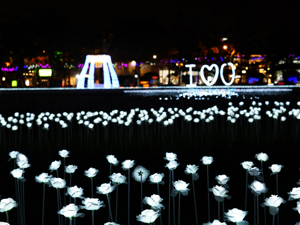 開放10天！3萬朵白玫瑰燈海疑遭遊客踩踏