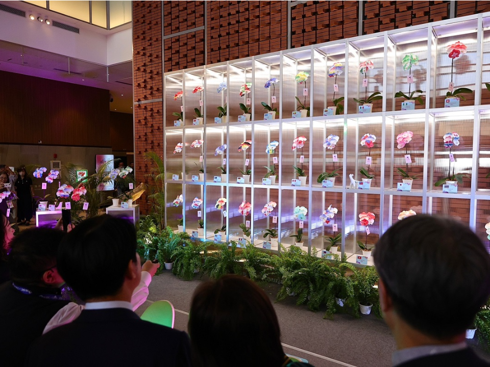 商機破百億！世界蘭花聯展在台南 